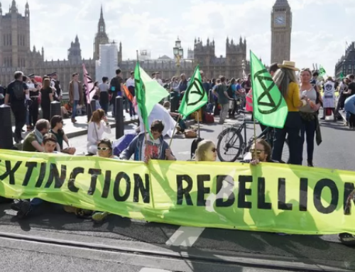 Pressure Group Case Study – Extinction Rebellion
